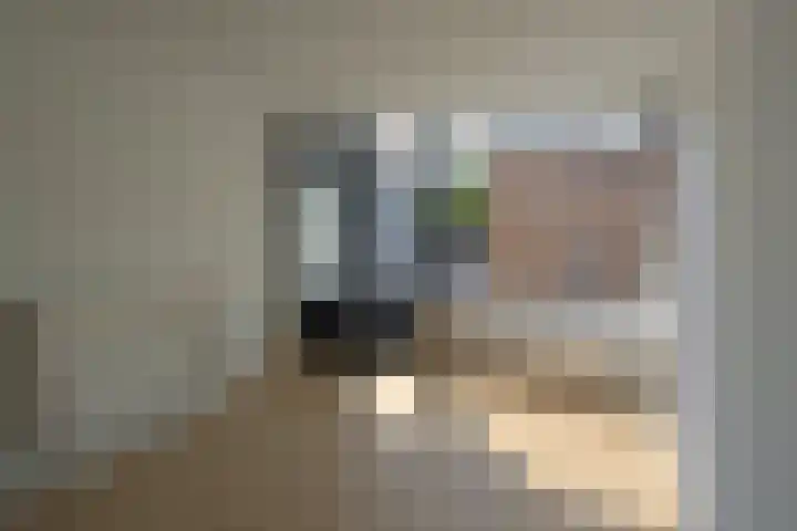 Fazantstraat 86 Alphen aan den Rijn thumbnail 28