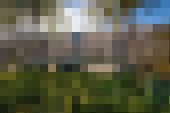 Fazantstraat 86 Alphen aan den Rijn thumbnail 31