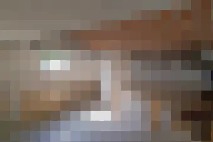 Fazantstraat 86 Alphen aan den Rijn thumbnail 32