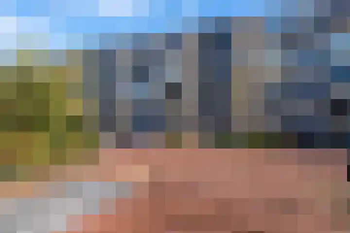Fazantstraat 86 Alphen aan den Rijn thumbnail 42