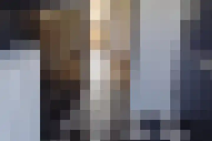 Fazantstraat 86 Alphen aan den Rijn thumbnail 7