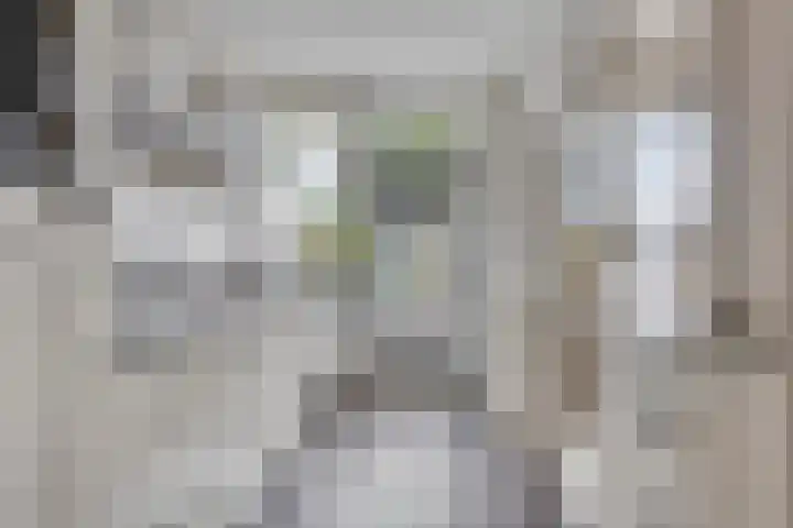 Fazantstraat 9 Wijchen thumbnail 11