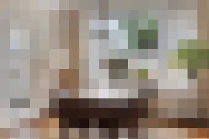 Fazantstraat 9 Wijchen thumbnail 8