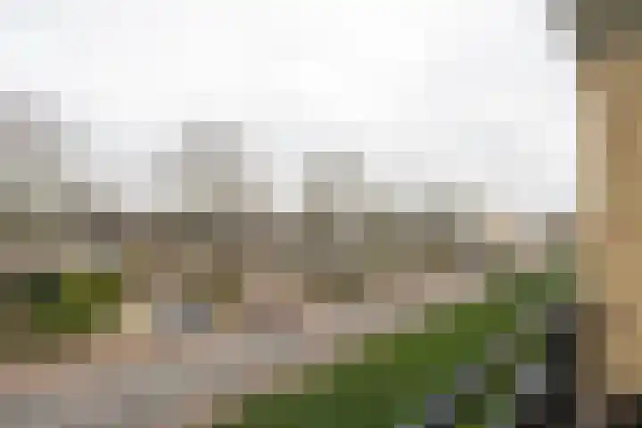 Fazantstraat 92 Alphen aan den Rijn thumbnail 10