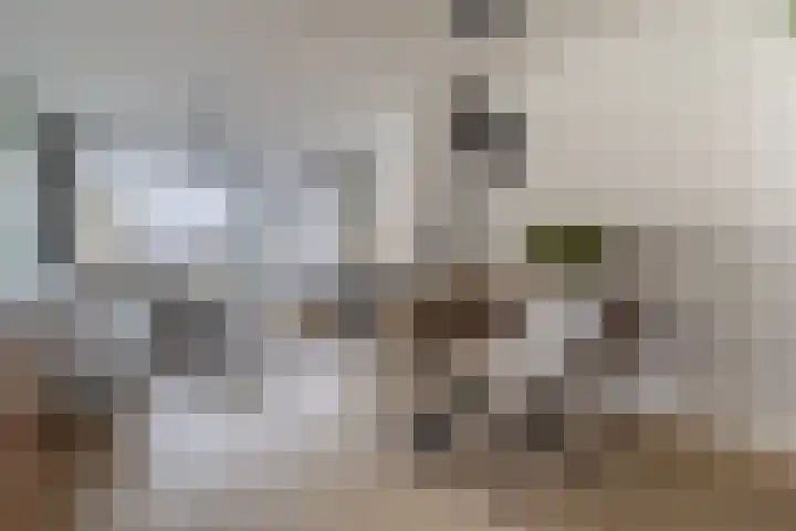 Fazantstraat 92 Alphen aan den Rijn thumbnail 4