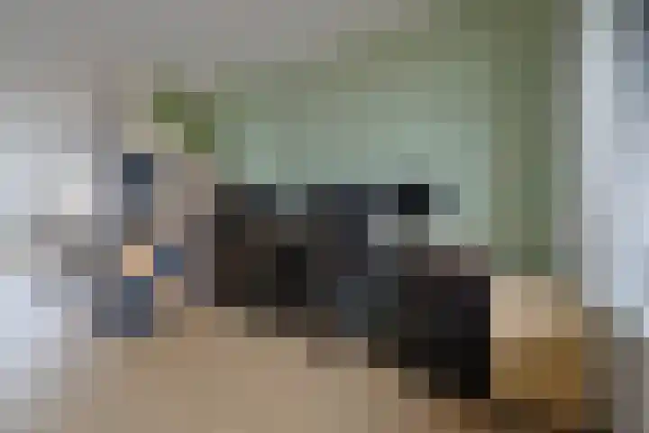 Fazantstraat 92 Alphen aan den Rijn thumbnail 7