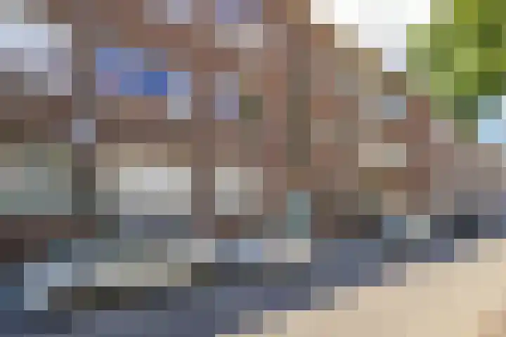 Fazantstraat 95 C Rotterdam thumbnail 23