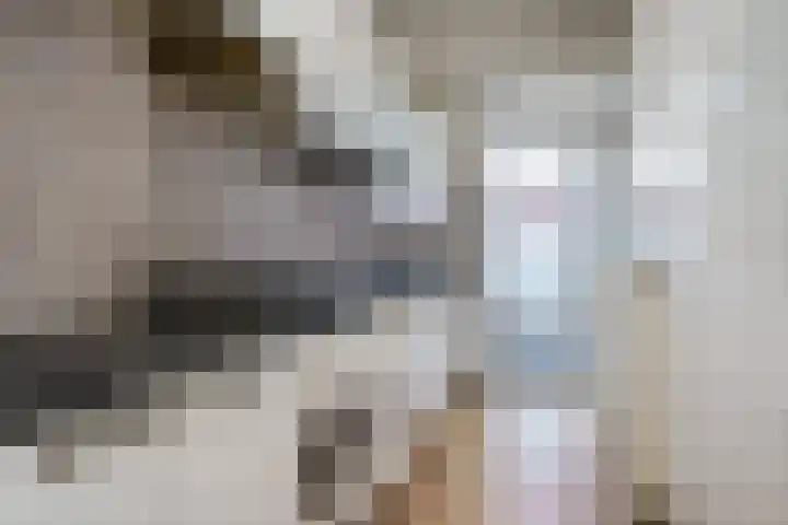 Fazantstraat 95 C Rotterdam thumbnail 8