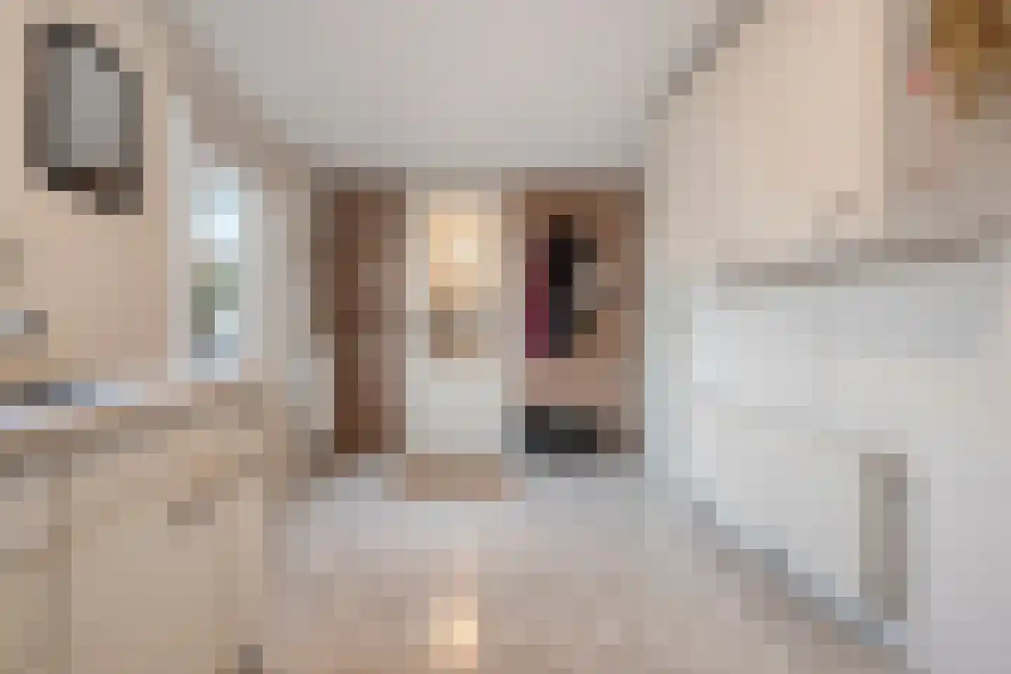 Fazantweg 13 Havelte thumbnail 23