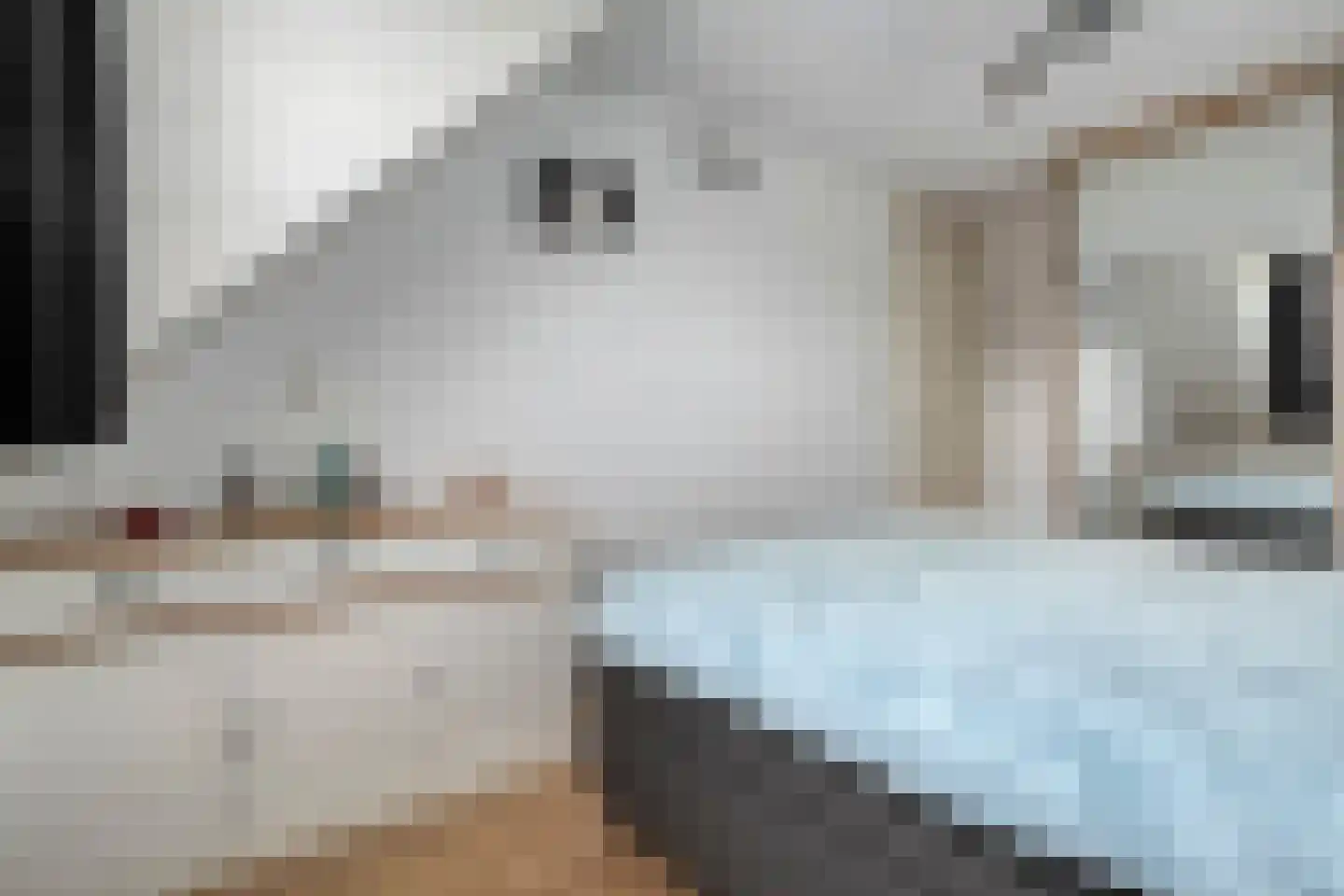 Fazantweg 13 Havelte thumbnail 30