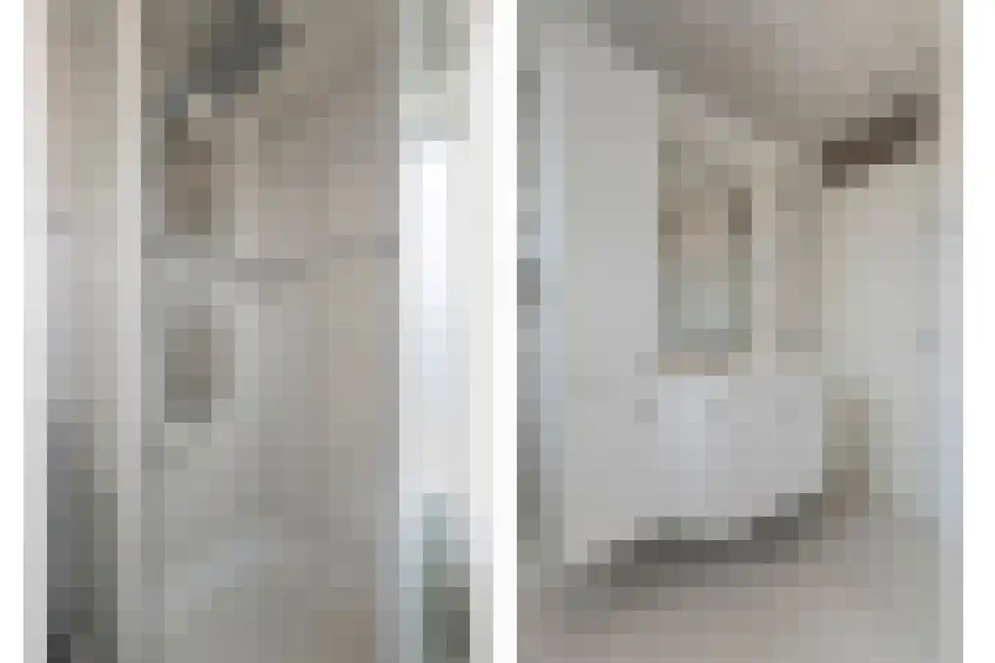 Fazantweg 13 Havelte thumbnail 35