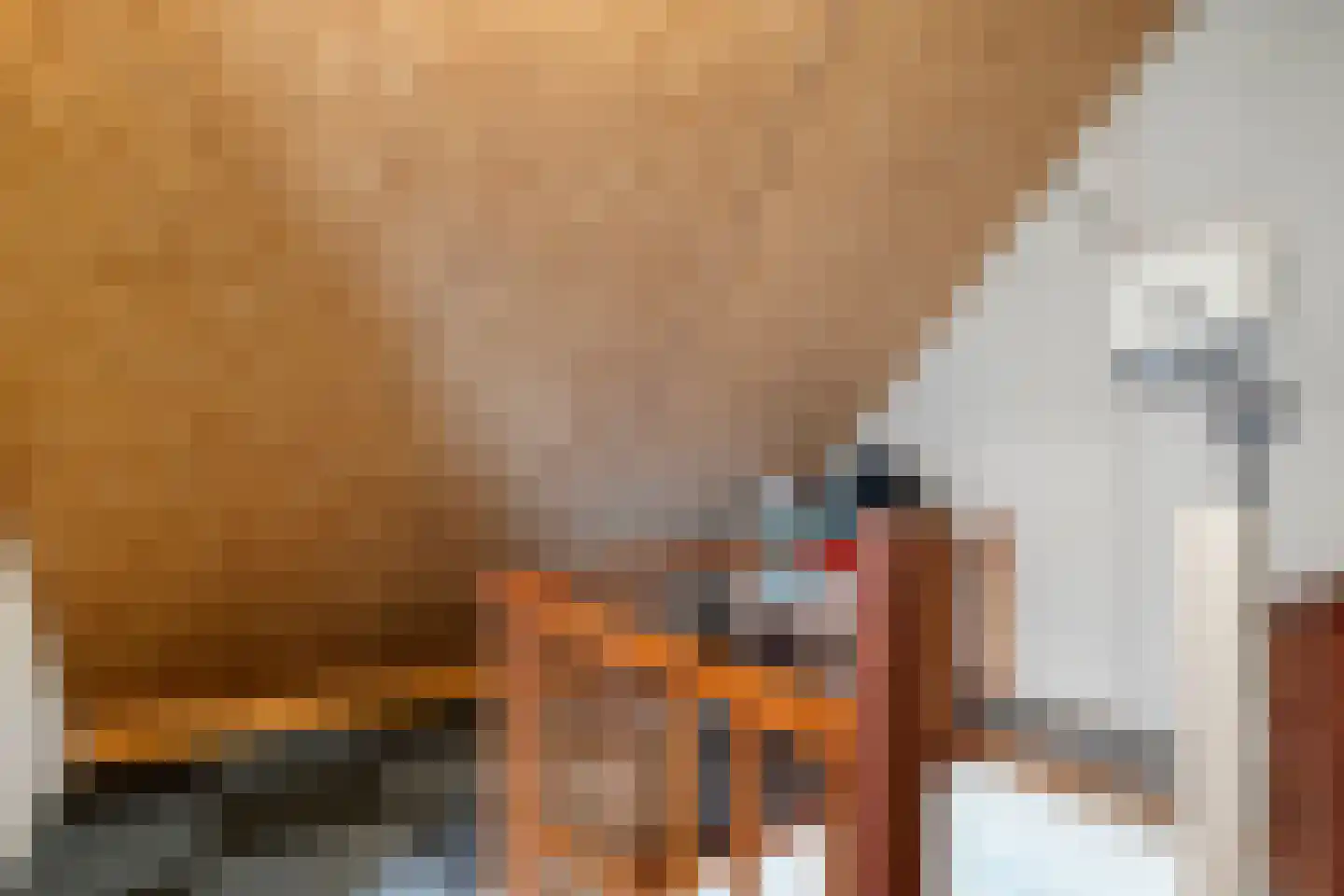 Fazantweg 13 Havelte thumbnail 36