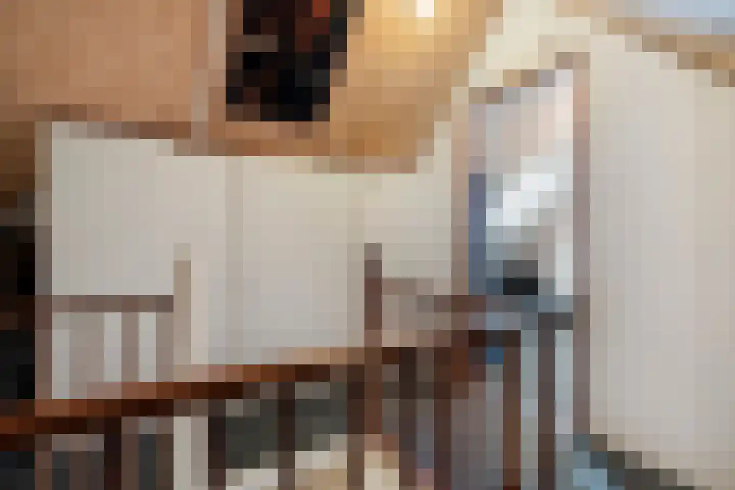 Fazantweg 13 Havelte thumbnail 37