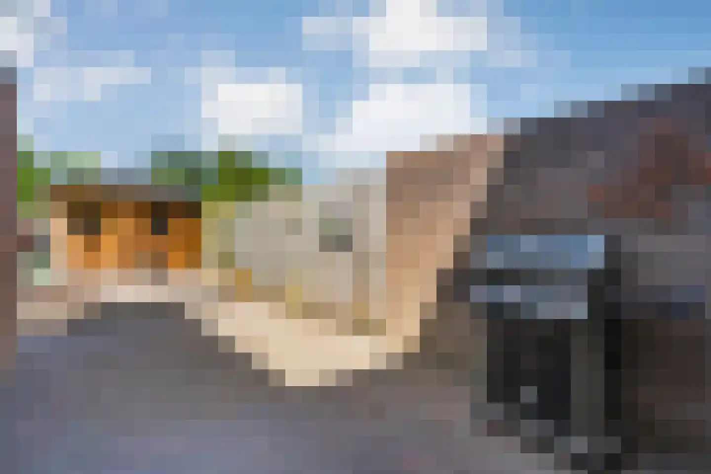 Fazantweg 13 Havelte thumbnail 42