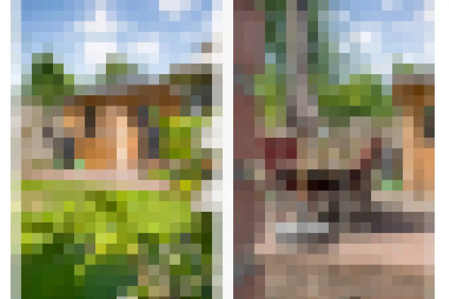 Fazantweg 13 Havelte thumbnail 43