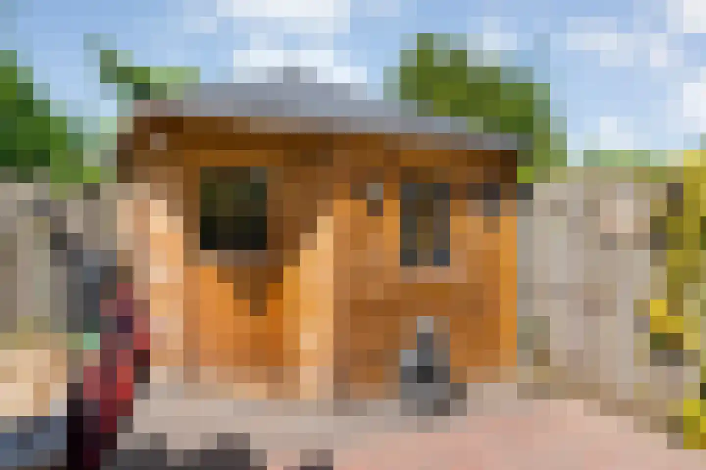 Fazantweg 13 Havelte thumbnail 45