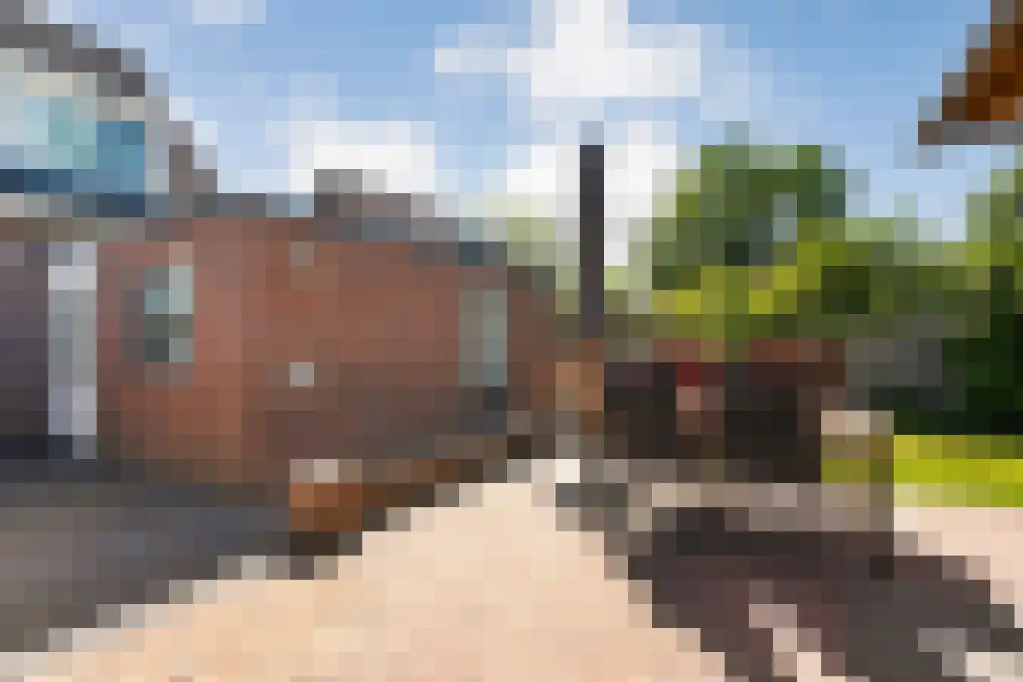 Fazantweg 13 Havelte thumbnail 48