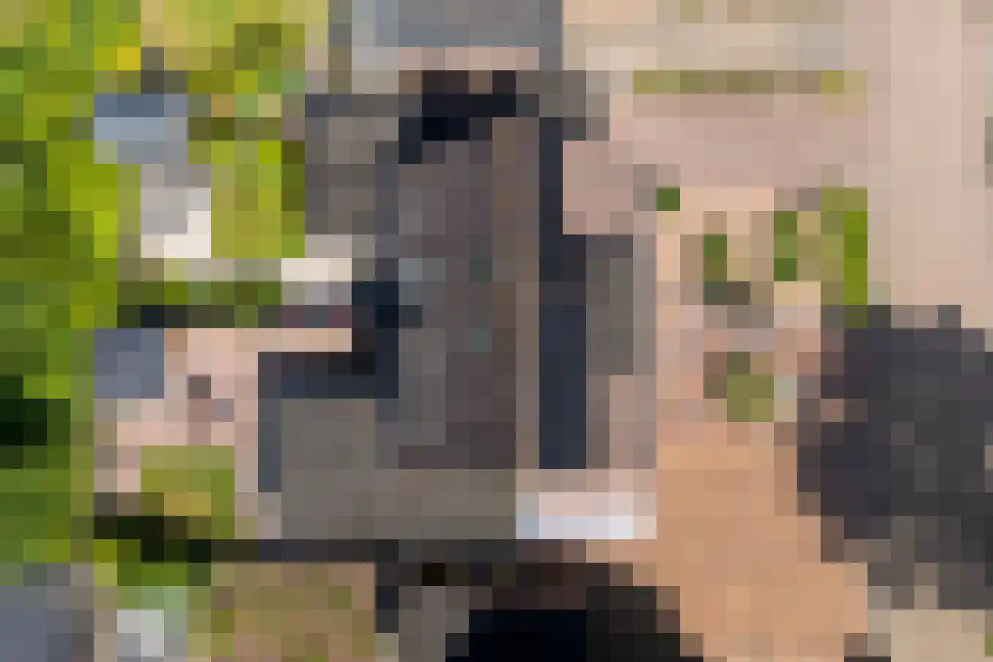 Fazantweg 13 Havelte thumbnail 49
