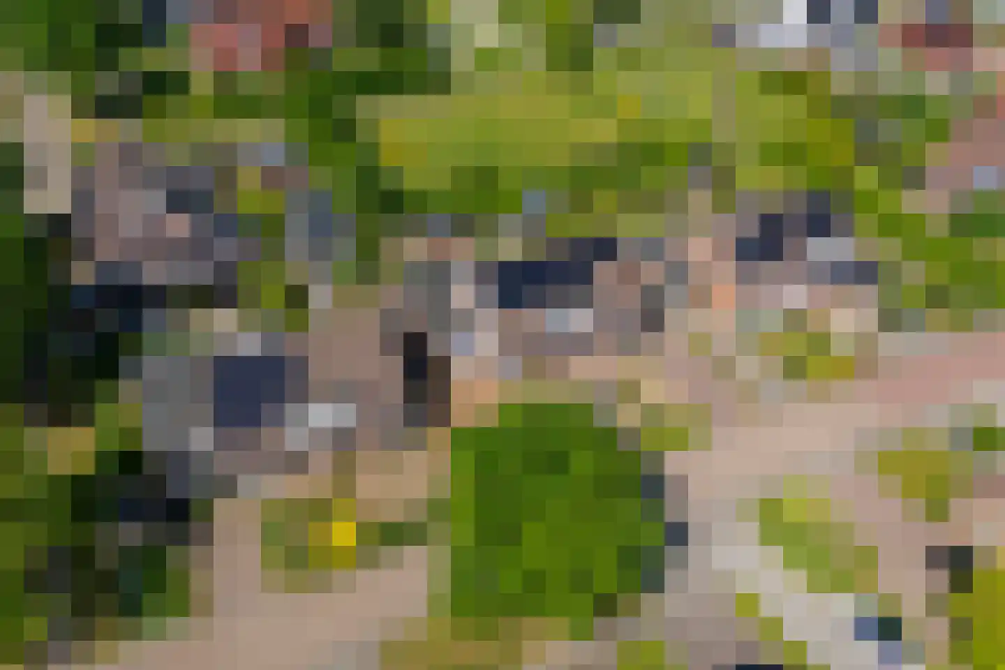 Fazantweg 13 Havelte thumbnail 50