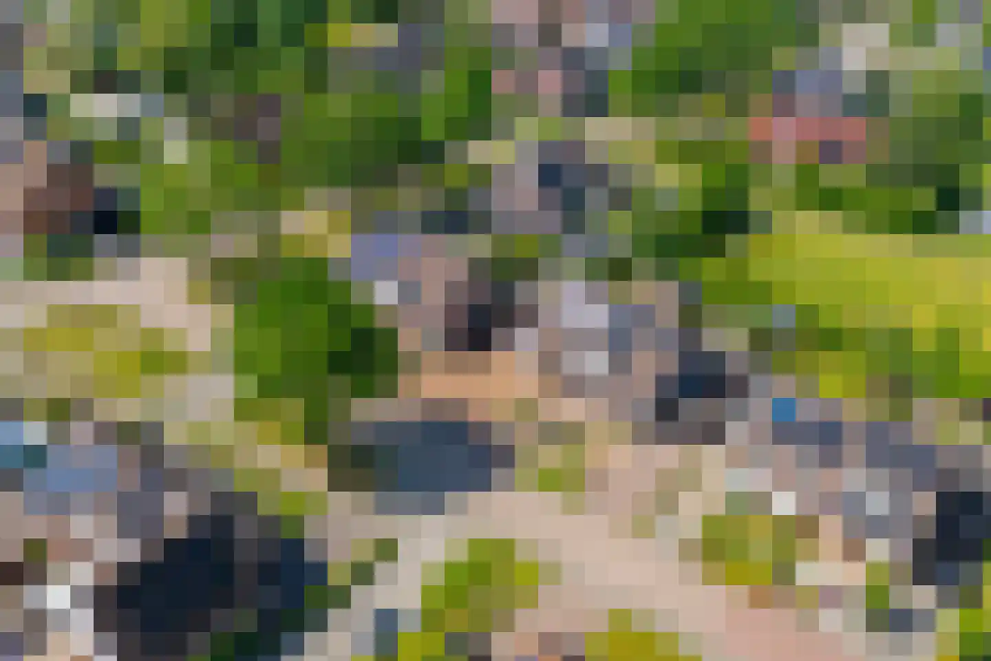 Fazantweg 13 Havelte thumbnail 51