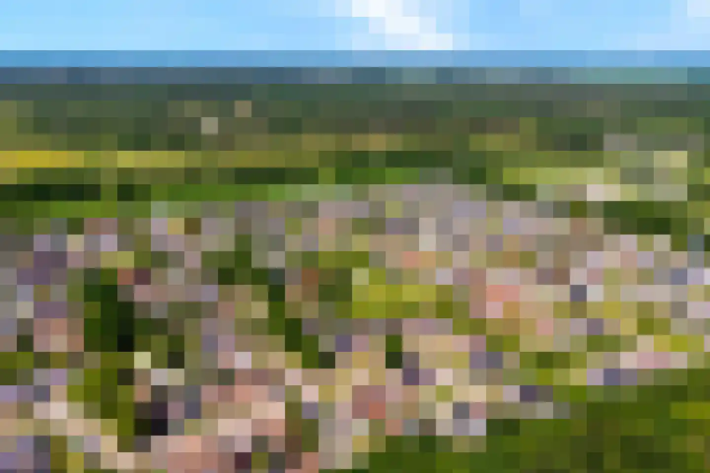 Fazantweg 13 Havelte thumbnail 52
