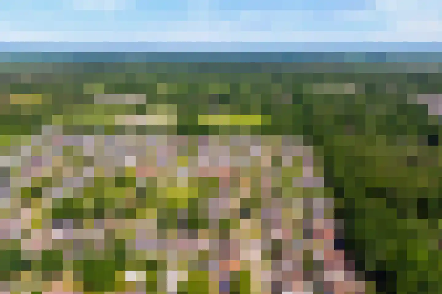 Fazantweg 13 Havelte thumbnail 53
