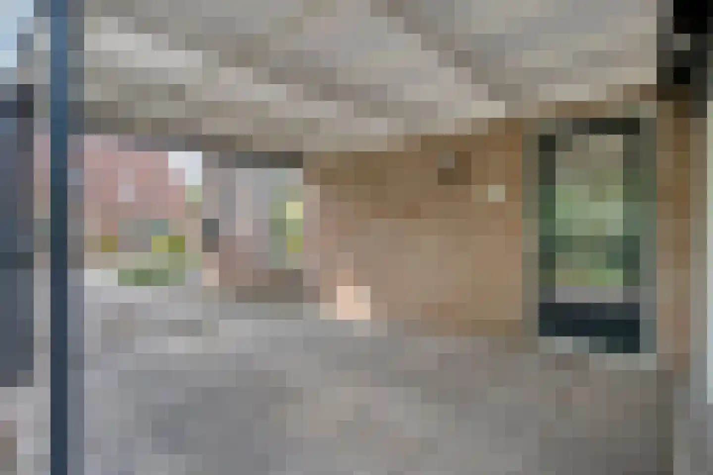 Fazantweg 14 Havelte thumbnail 14
