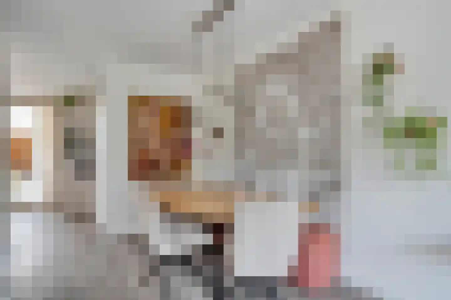 Fazantweg 14 Havelte thumbnail 19