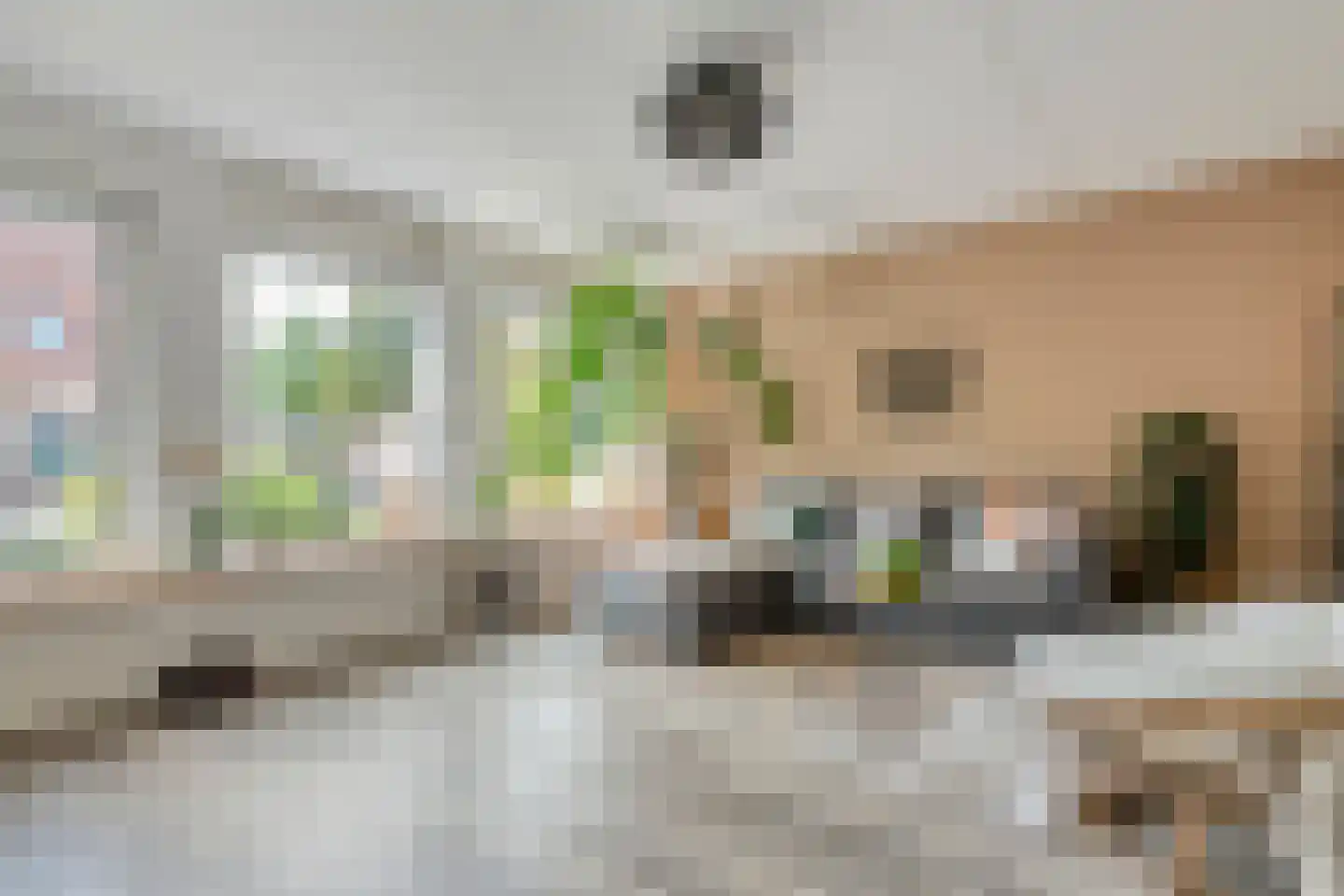 Fazantweg 14 Havelte thumbnail 20
