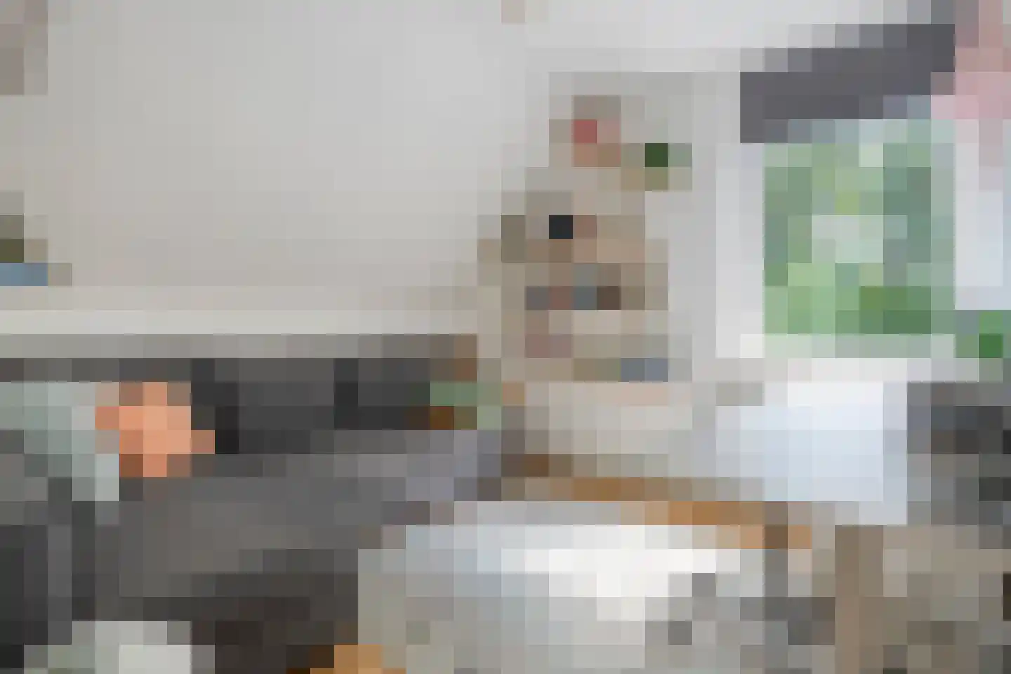 Fazantweg 14 Havelte thumbnail 32