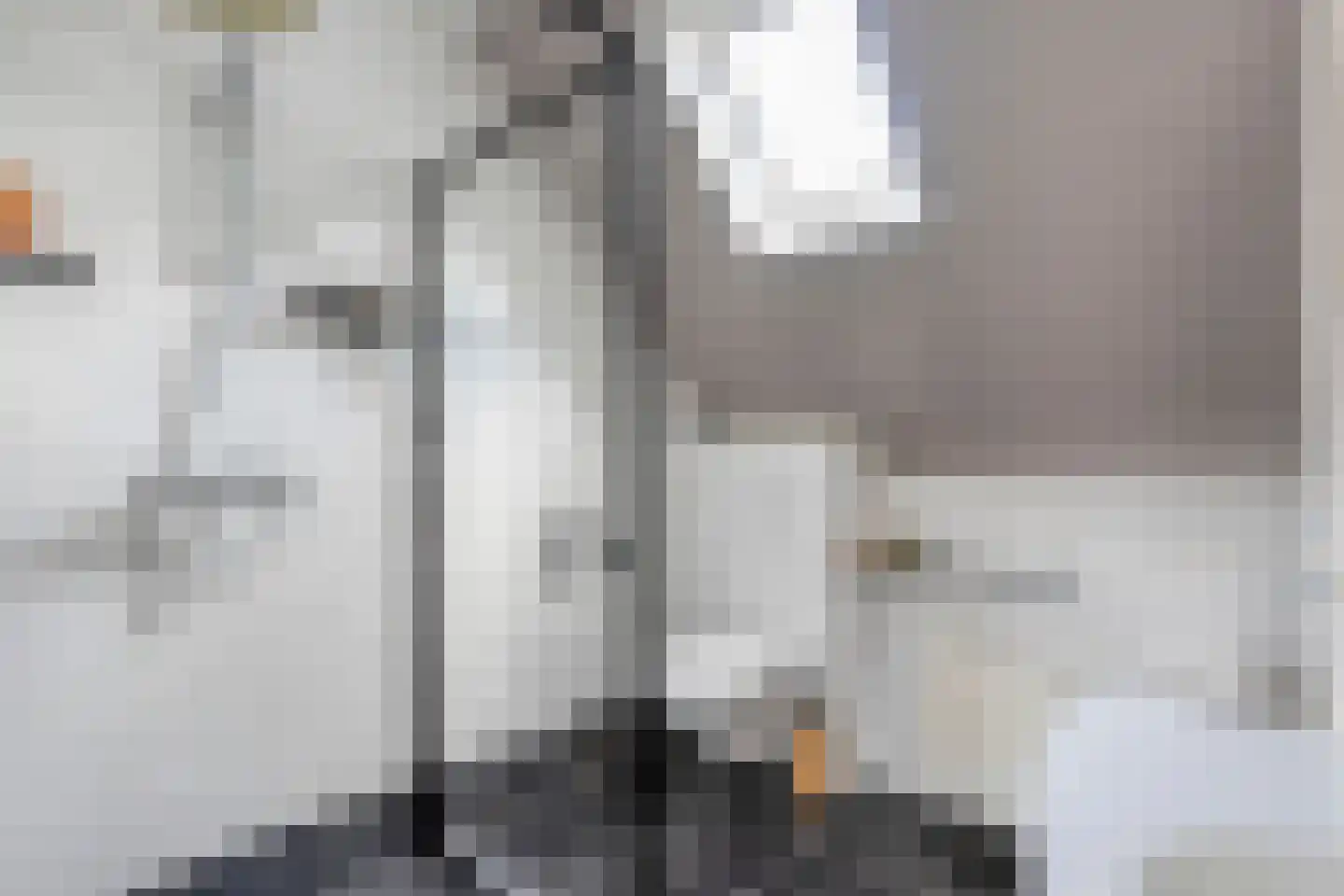 Fazantweg 14 Havelte thumbnail 34