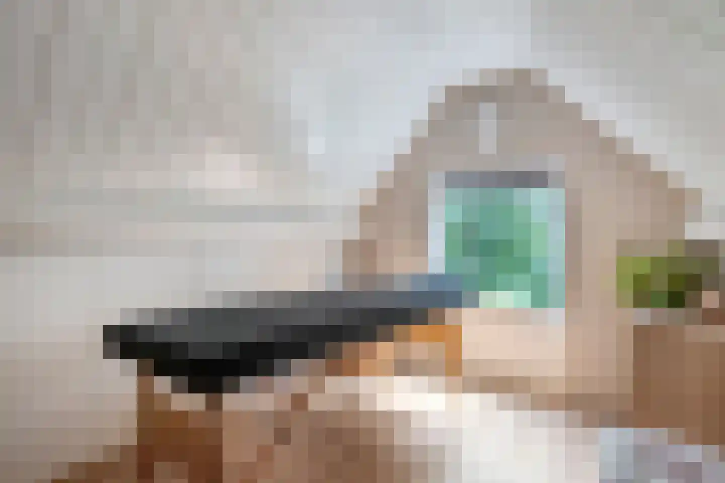 Fazantweg 14 Havelte thumbnail 38