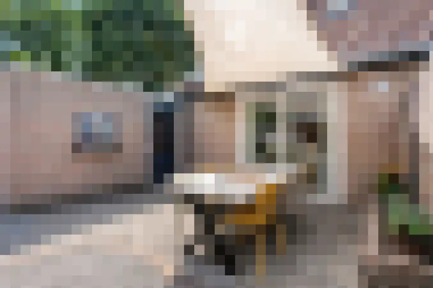 Fazantweg 14 Havelte thumbnail 41