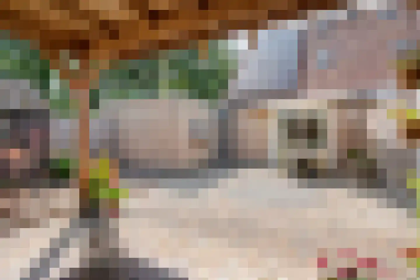 Fazantweg 14 Havelte thumbnail 42