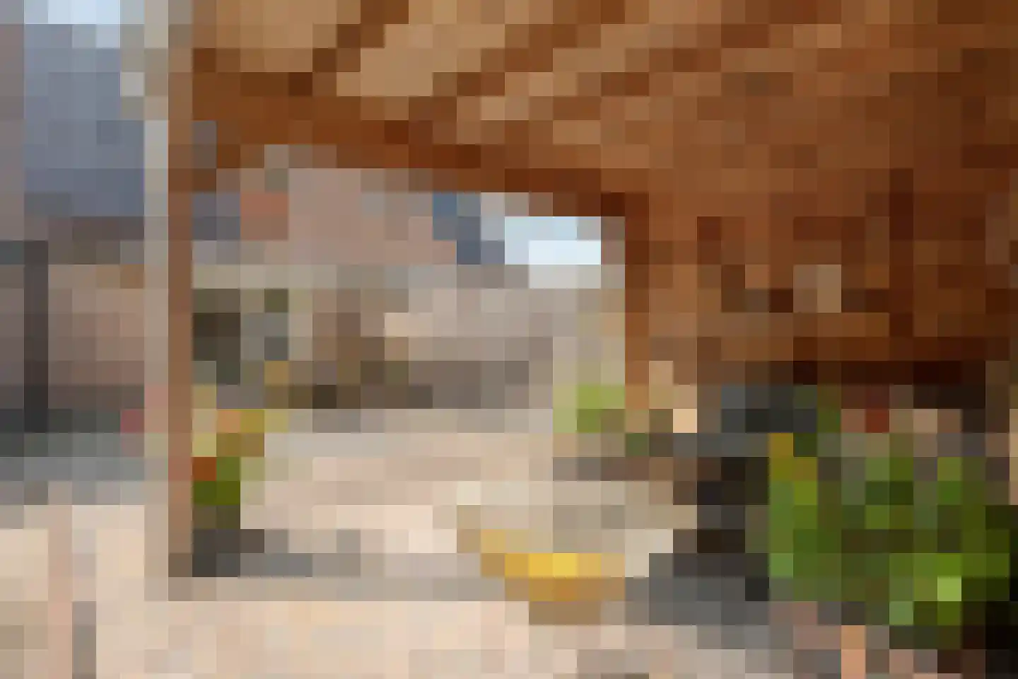 Fazantweg 14 Havelte thumbnail 43