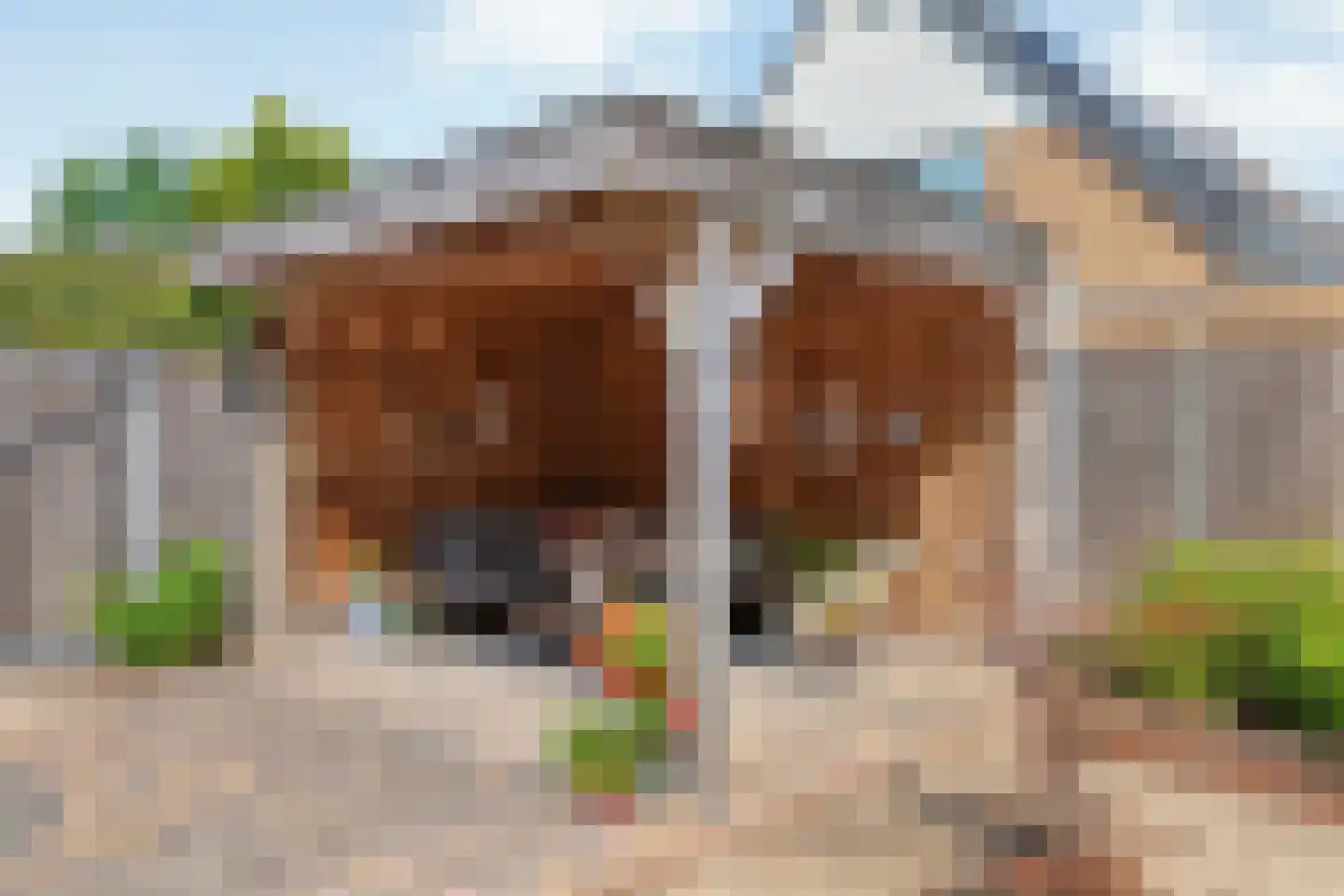 Fazantweg 14 Havelte thumbnail 46