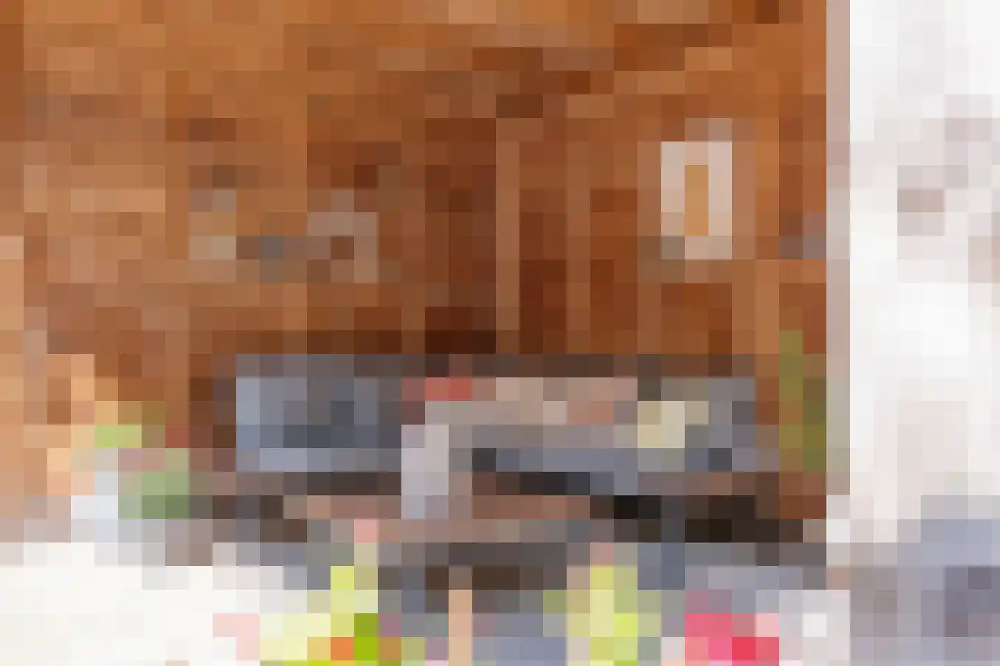 Fazantweg 14 Havelte thumbnail 47