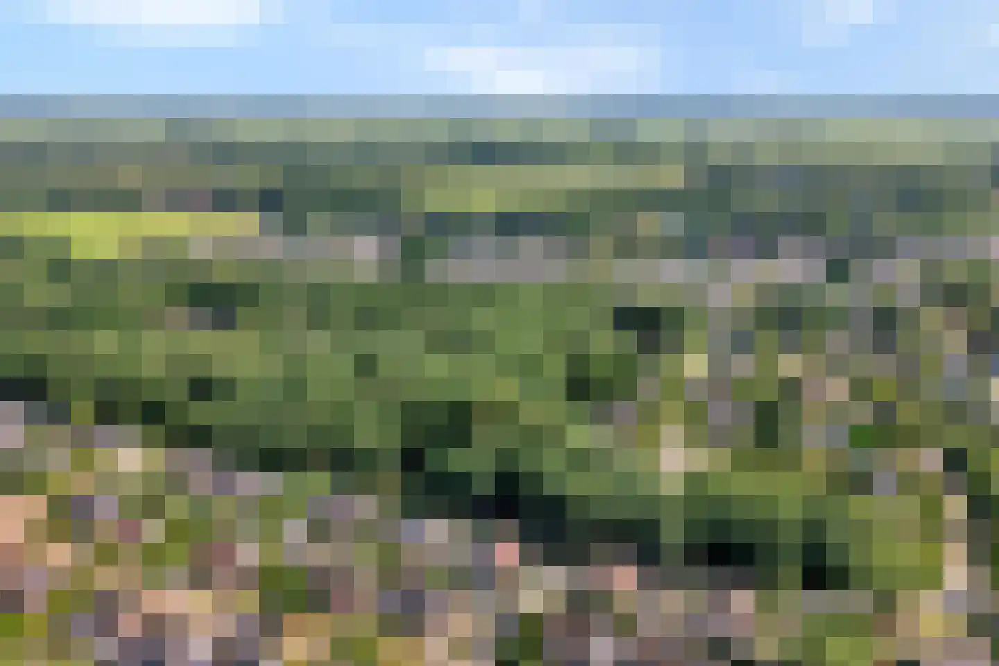 Fazantweg 14 Havelte thumbnail 49