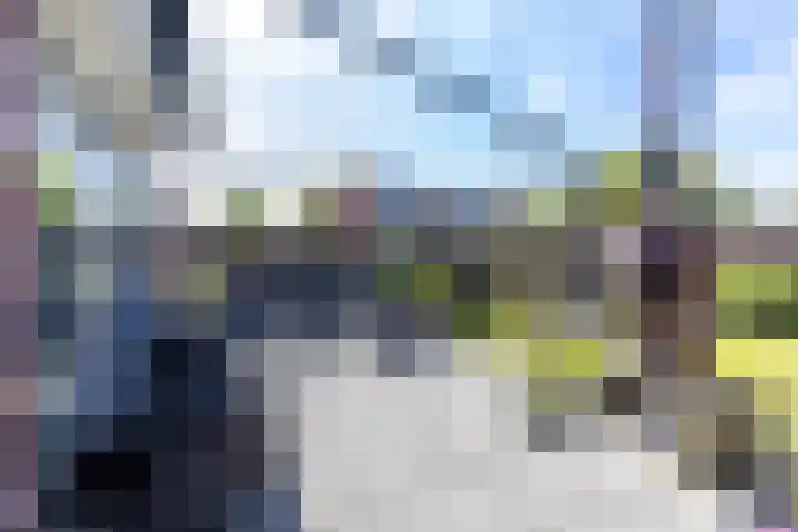 Fazantweg 15 Paterswolde thumbnail 19