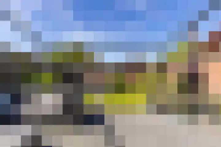 Fazantweg 15 Paterswolde thumbnail 20