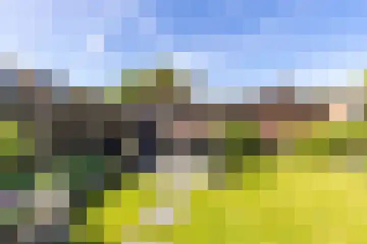 Fazantweg 15 Paterswolde thumbnail 21