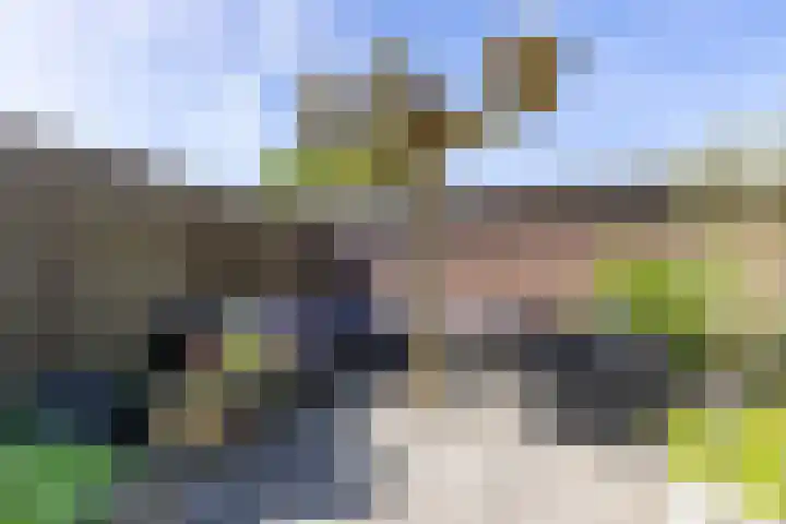 Fazantweg 15 Paterswolde thumbnail 22