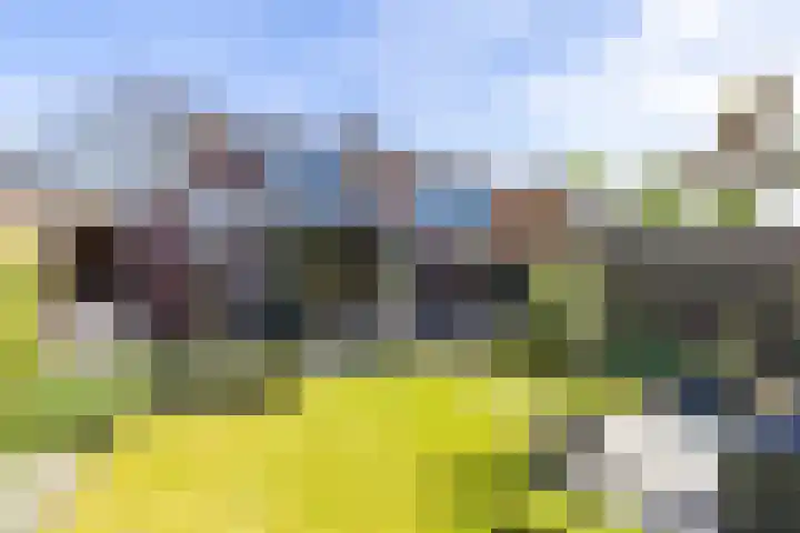 Fazantweg 15 Paterswolde thumbnail 23