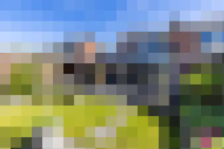 Fazantweg 15 Paterswolde thumbnail 24