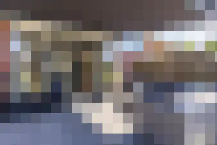 Fazantweg 15 Paterswolde thumbnail 25