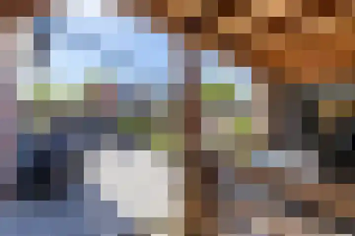 Fazantweg 15 Paterswolde thumbnail 27