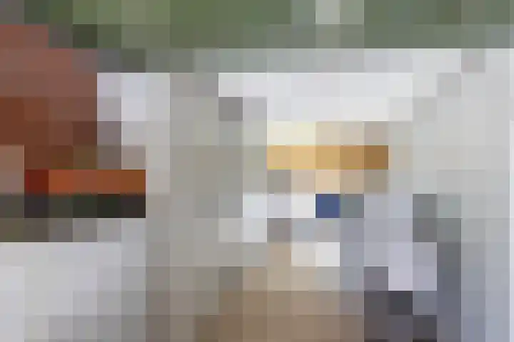 Fazantweg 15 Paterswolde thumbnail 29