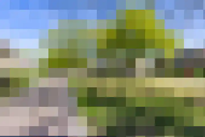 Fazantweg 15 Paterswolde thumbnail 43