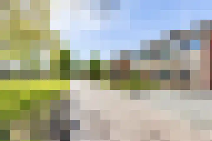 Fazantweg 15 Paterswolde thumbnail 44