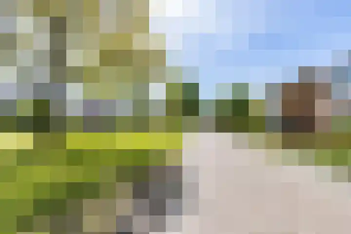Fazantweg 15 Paterswolde thumbnail 48